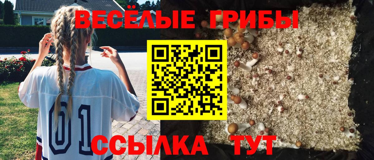 Копейск  Галлюциногенные грибы GOLDEN TEACHER  Вход с VPN 