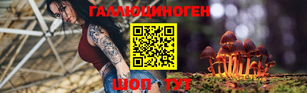 Псилоцибиновые грибы Magic Shrooms Копейск